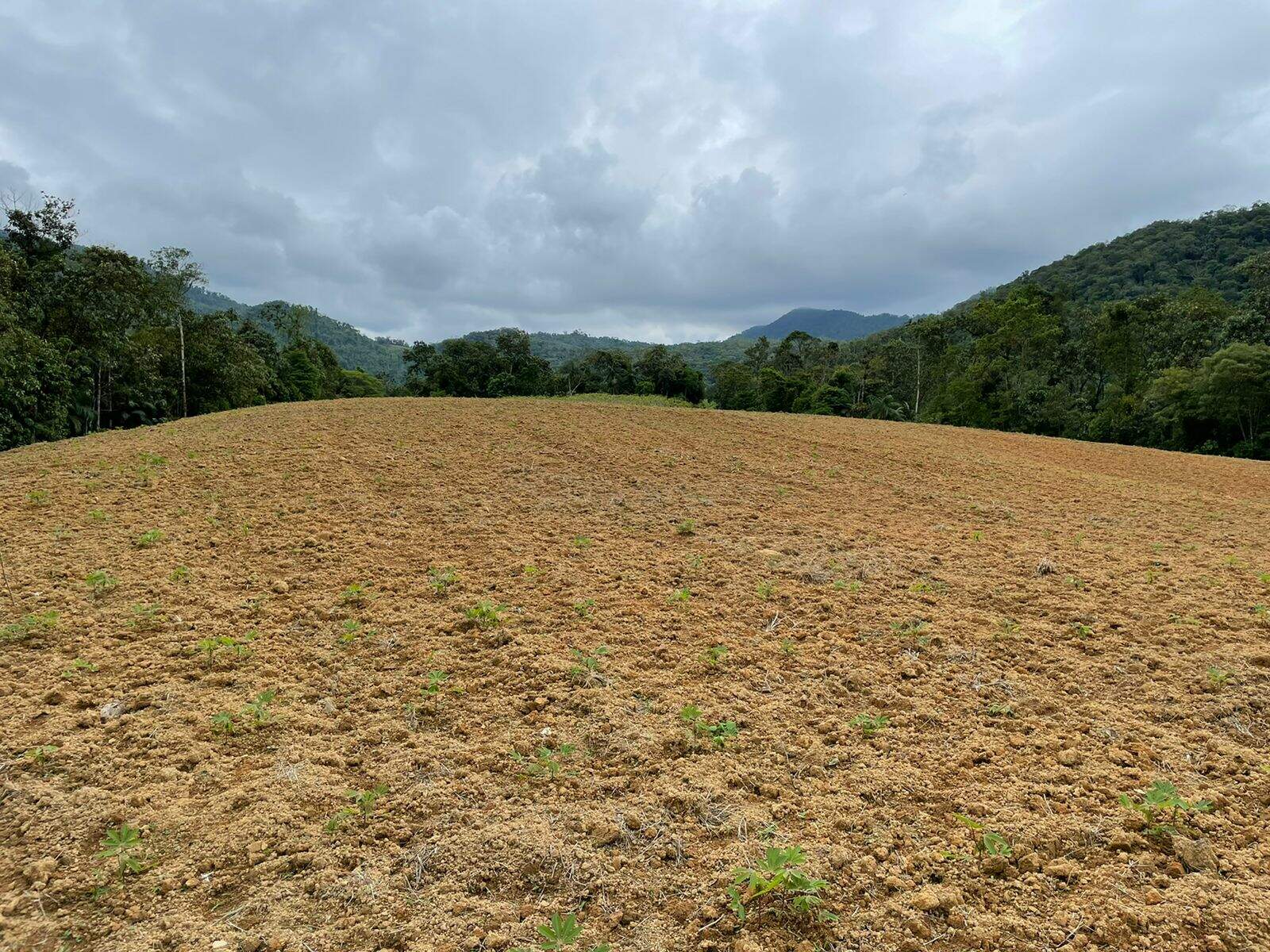 Imagem Terreno / Lote à venda, Garibaldi - Jaraguá do Sul/SC