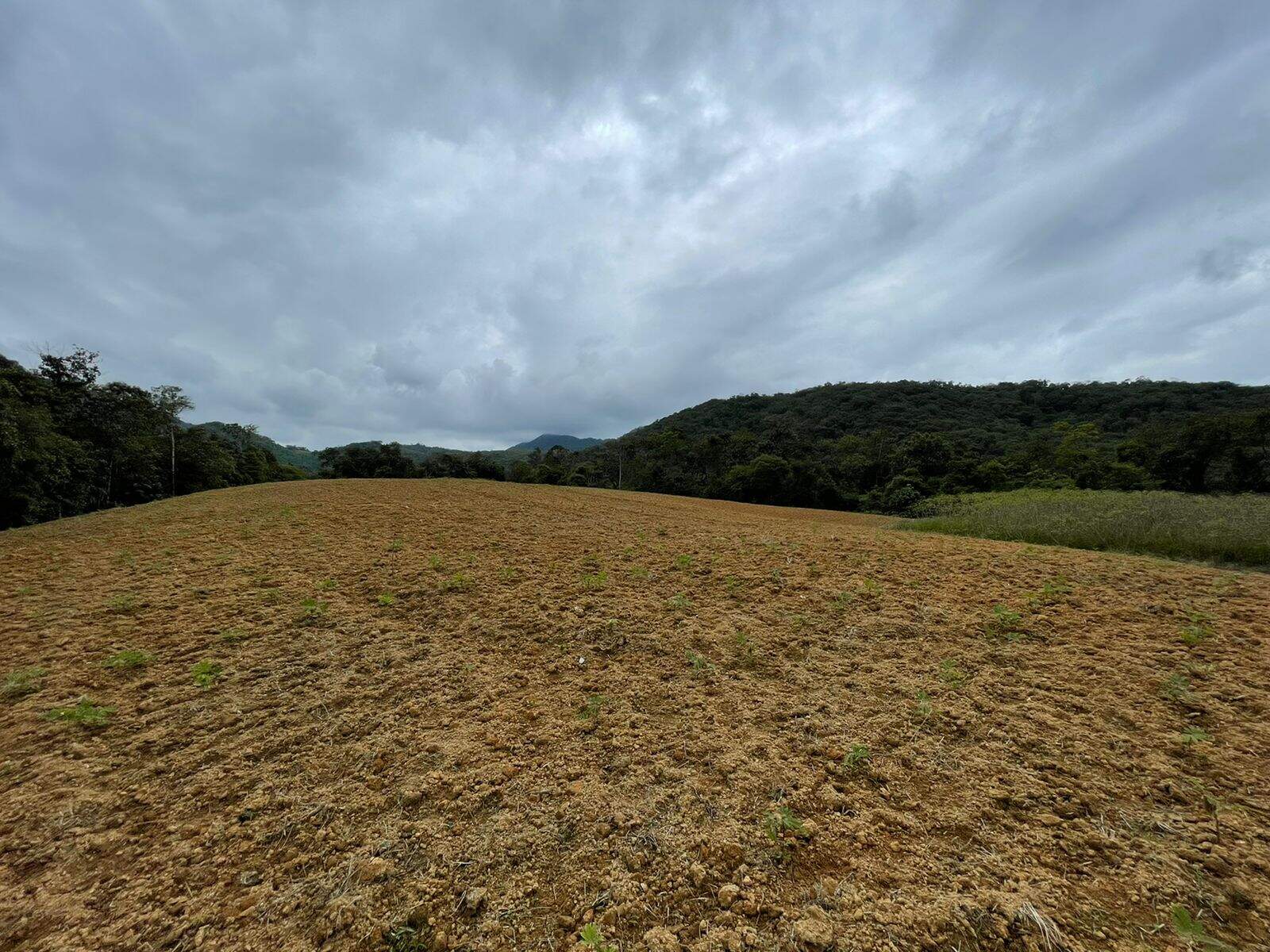 Imagem Terreno / Lote à venda, Garibaldi - Jaraguá do Sul/SC