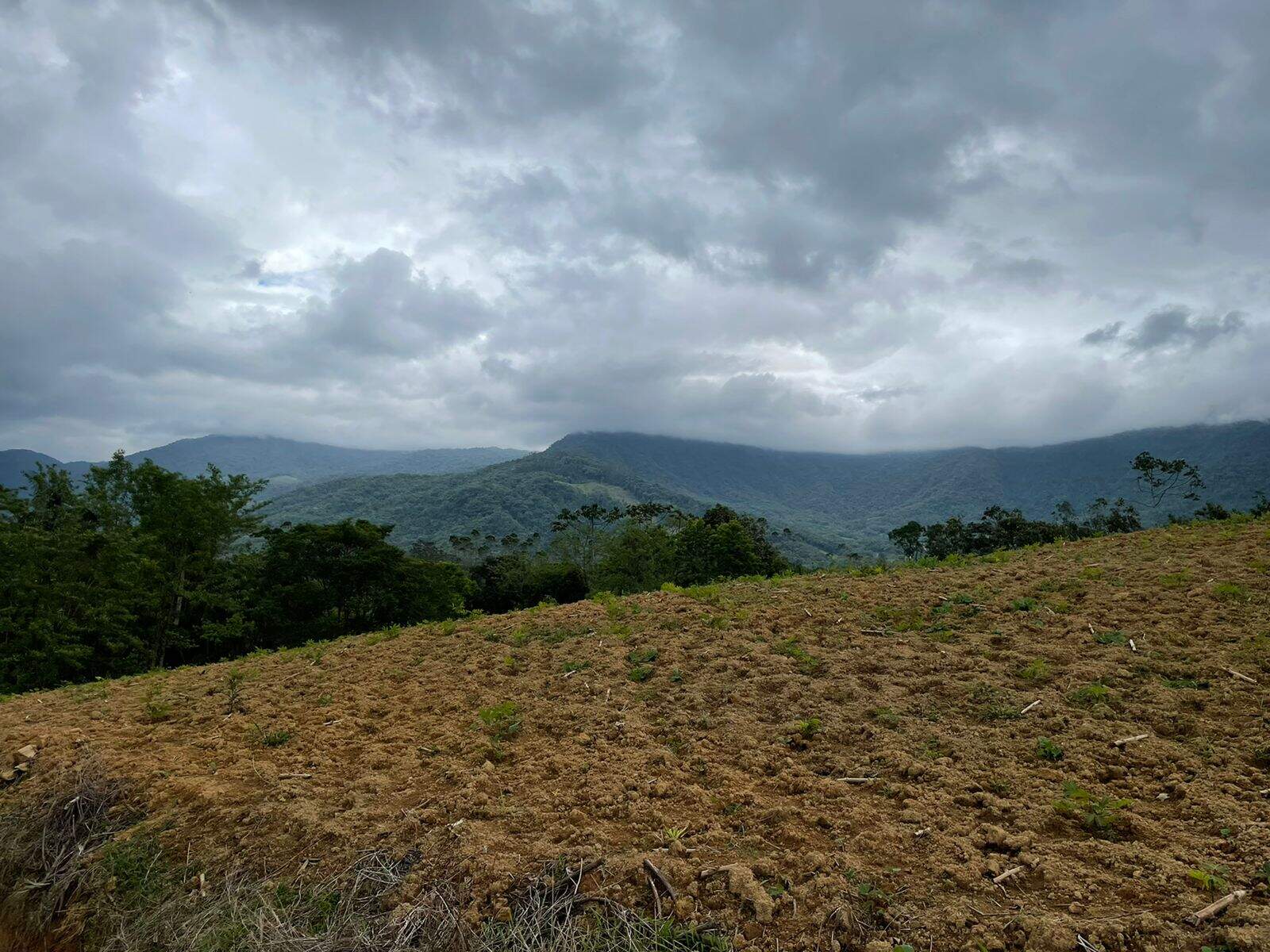 Imagem Terreno / Lote à venda, Garibaldi - Jaraguá do Sul/SC