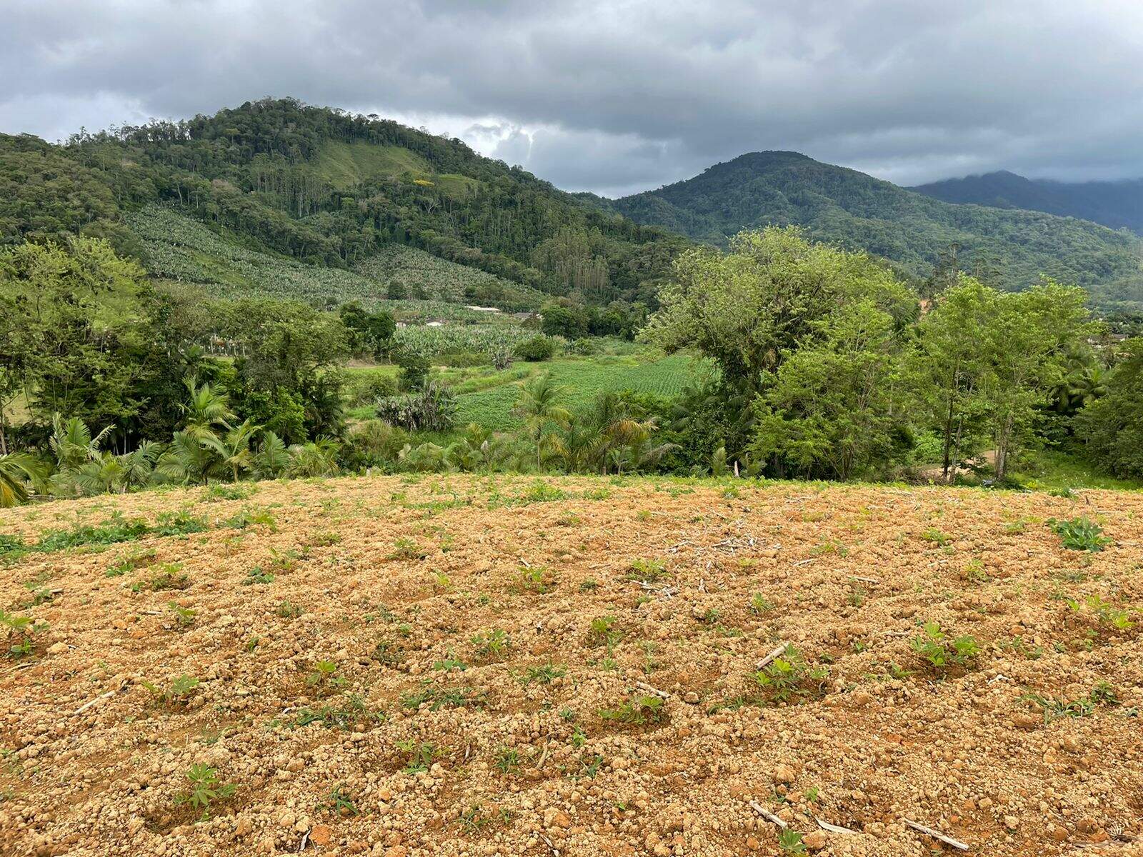 Imagem Terreno / Lote à venda, Garibaldi - Jaraguá do Sul/SC