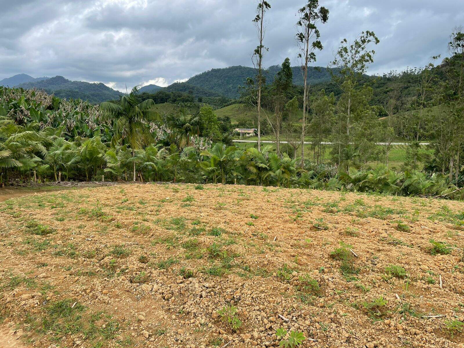 Imagem Terreno / Lote à venda, Garibaldi - Jaraguá do Sul/SC