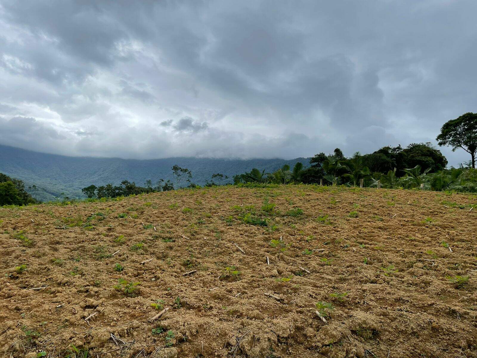 Imagem Terreno / Lote à venda, Garibaldi - Jaraguá do Sul/SC