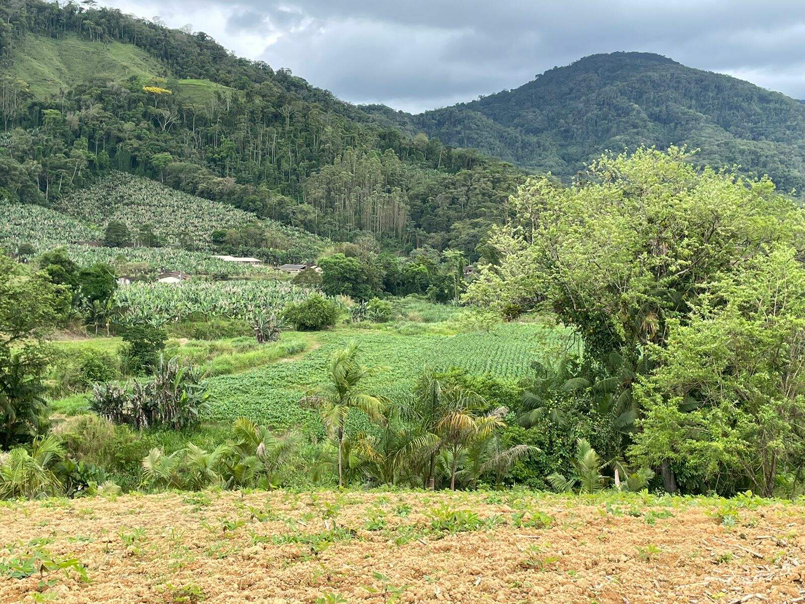 Imagem Terreno / Lote à venda, Garibaldi - Jaraguá do Sul/SC