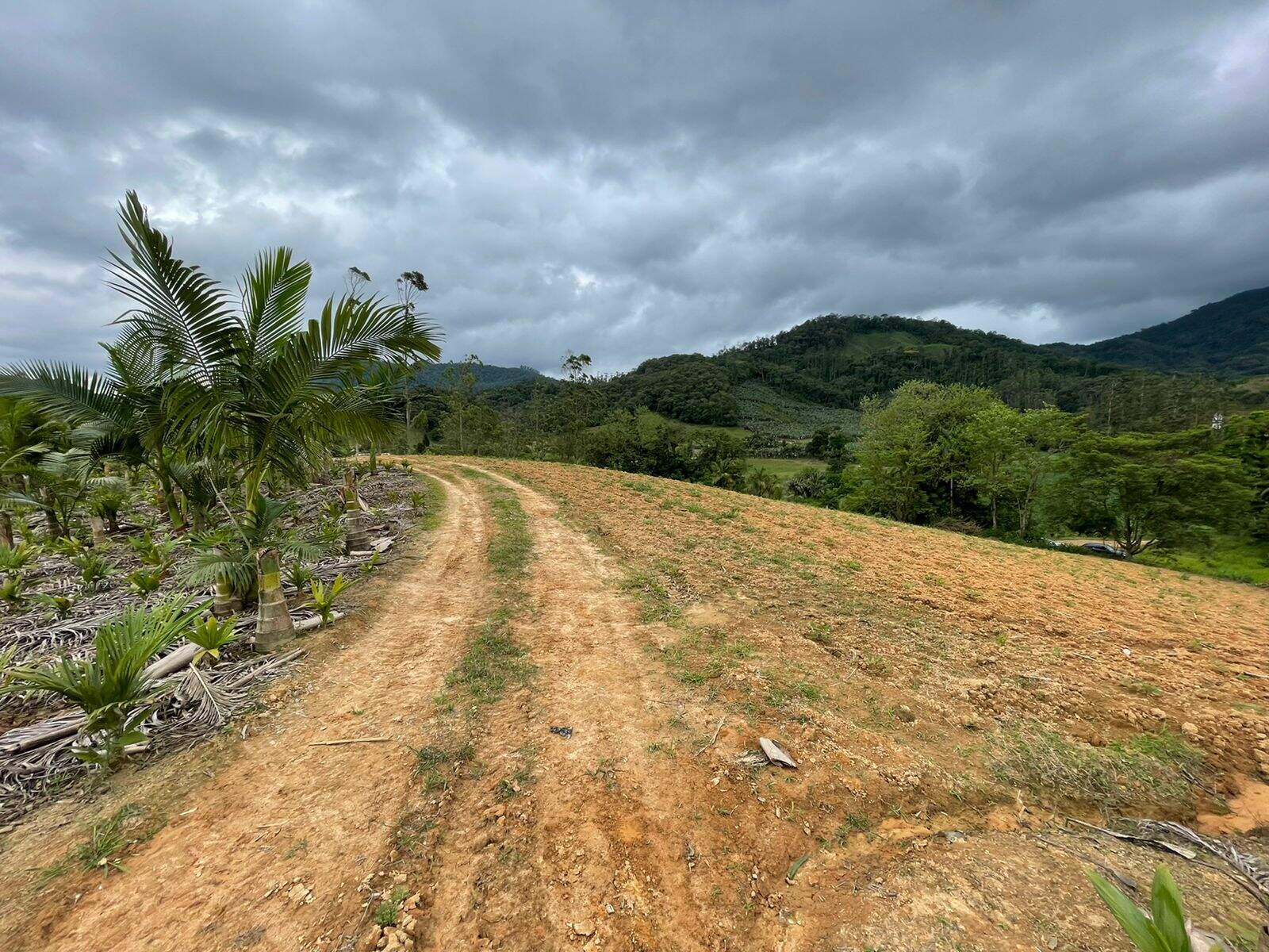 Imagem Terreno / Lote à venda, Garibaldi - Jaraguá do Sul/SC