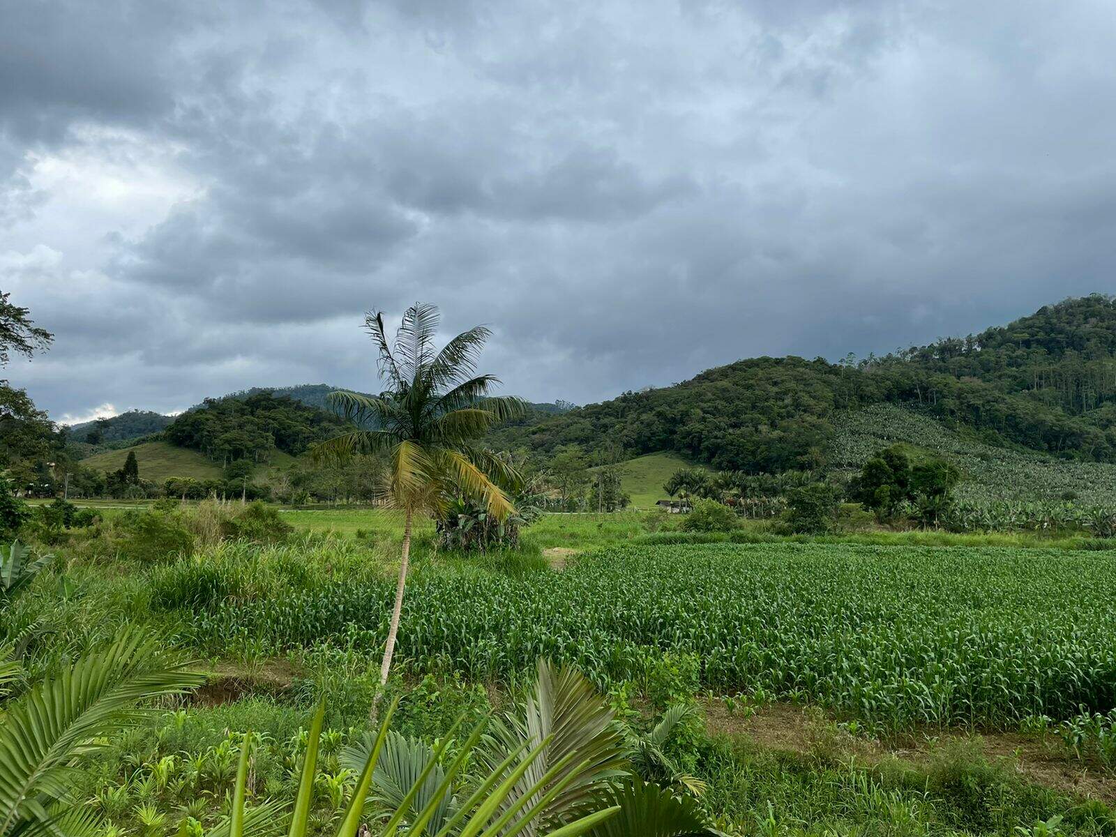 Imagem Terreno / Lote à venda, Garibaldi - Jaraguá do Sul/SC