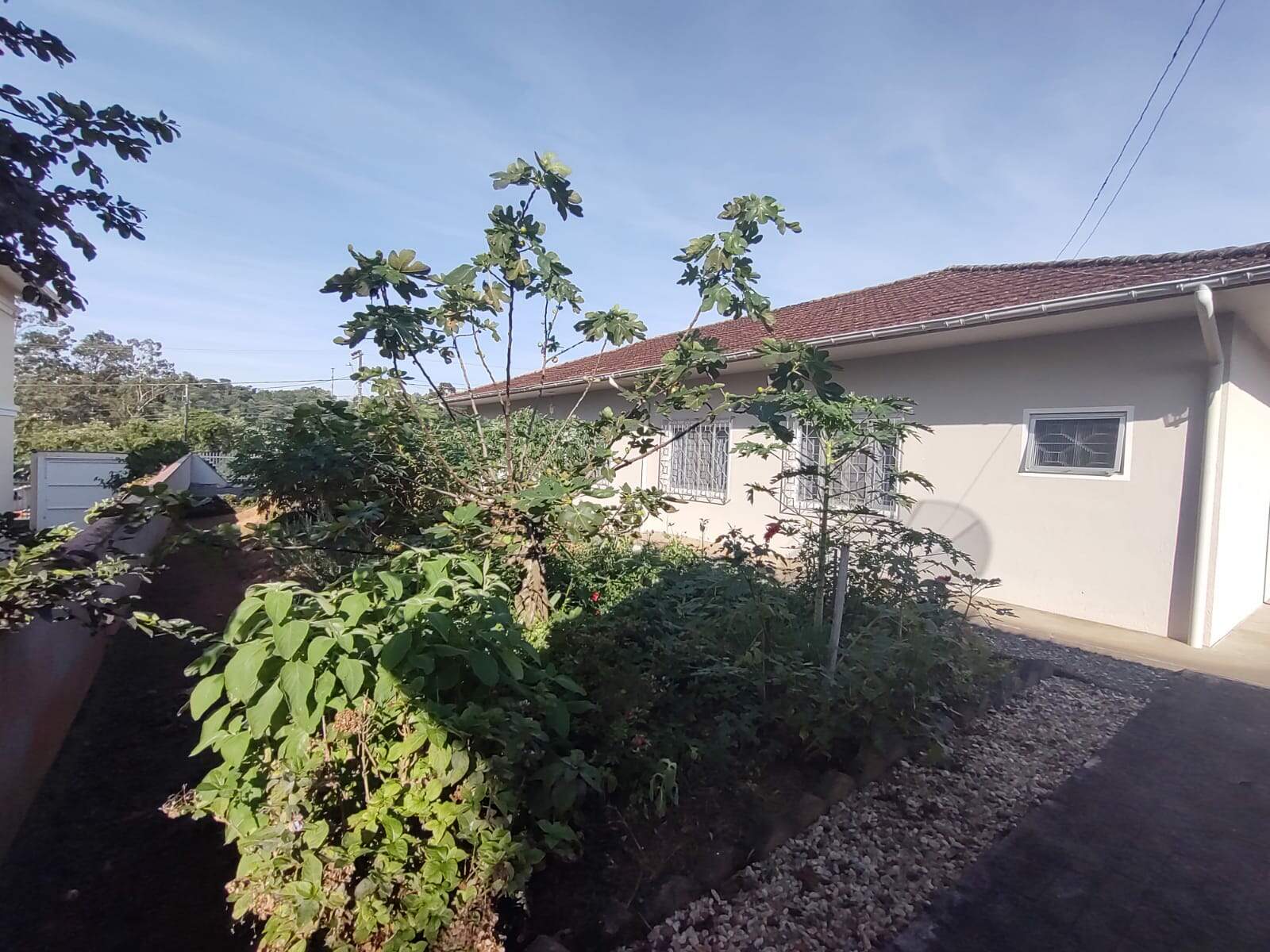 Imagem Casa à venda, 5 quartos, 4 vagas, Vila Lenzi - Jaraguá do Sul/SC