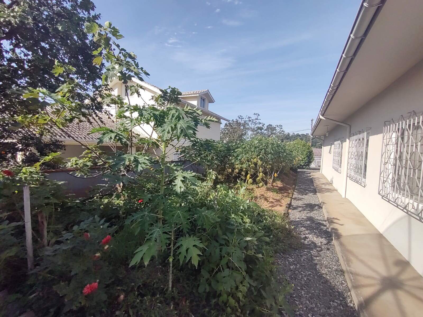 Imagem Casa à venda, 5 quartos, 4 vagas, Vila Lenzi - Jaraguá do Sul/SC