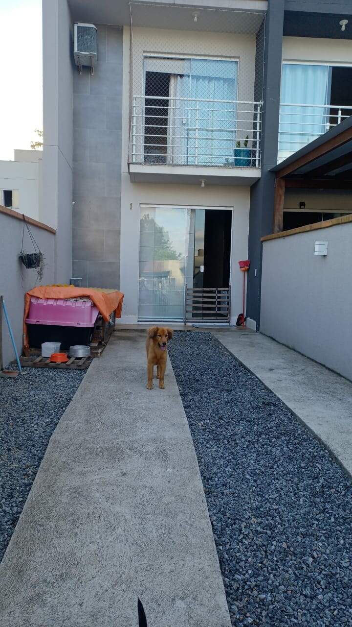 Imagem Casa à venda, 2 quartos, 1 vaga, Tifa Martins - Jaraguá do Sul/SC