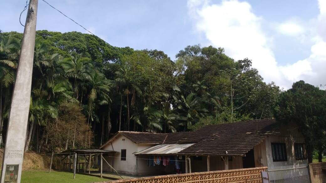 Imagem Terreno à venda no Bananal do Sul em Guaramirim 