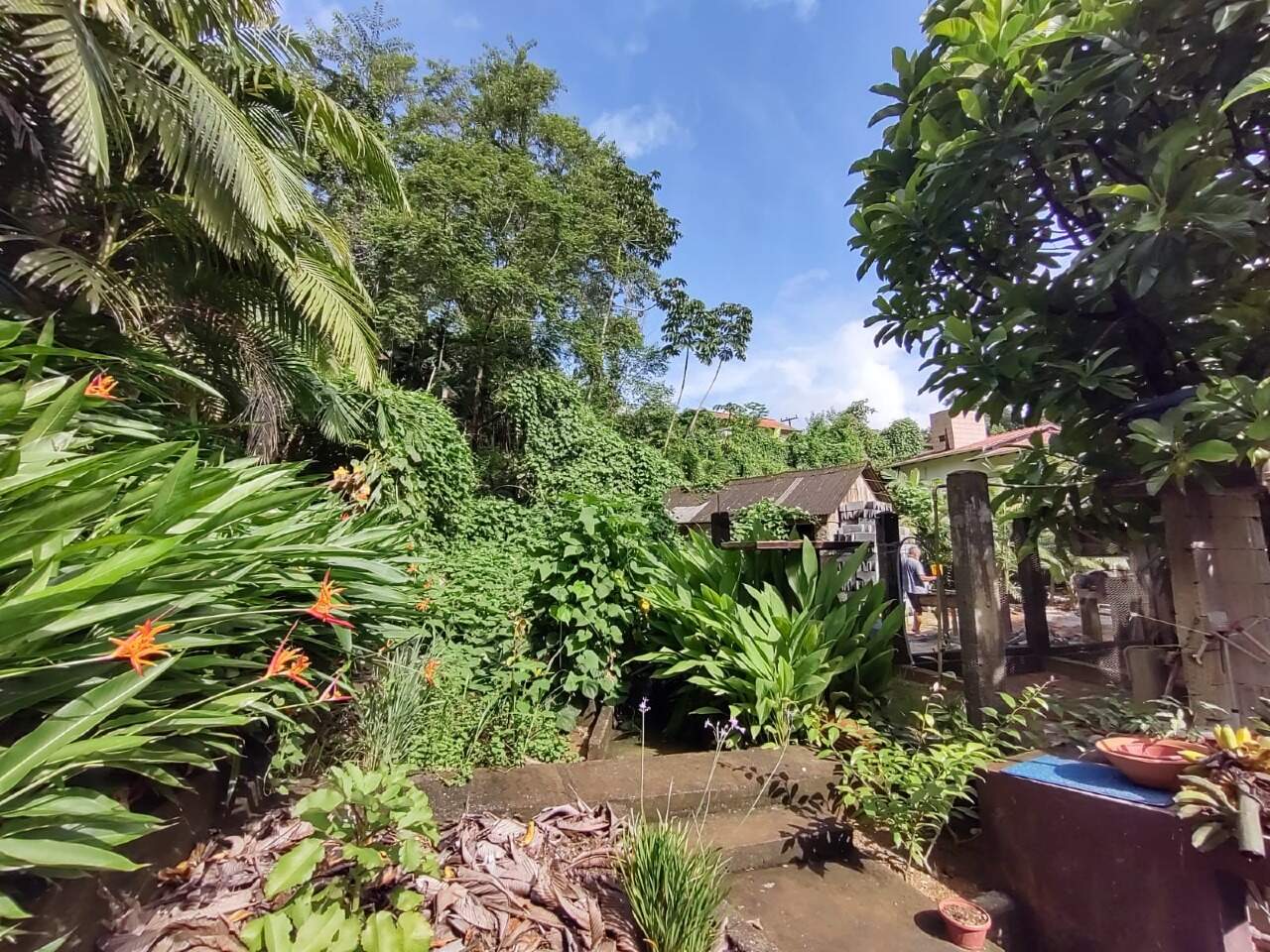 Imagem Casa à venda, 2 quartos, 1 suíte, 2 vagas, Ilha da Figueira - Jaraguá do Sul/SC