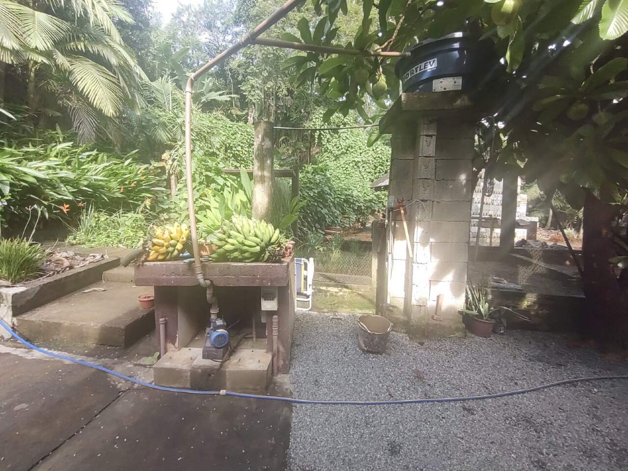 Imagem Casa à venda, 2 quartos, 1 suíte, 2 vagas, Ilha da Figueira - Jaraguá do Sul/SC
