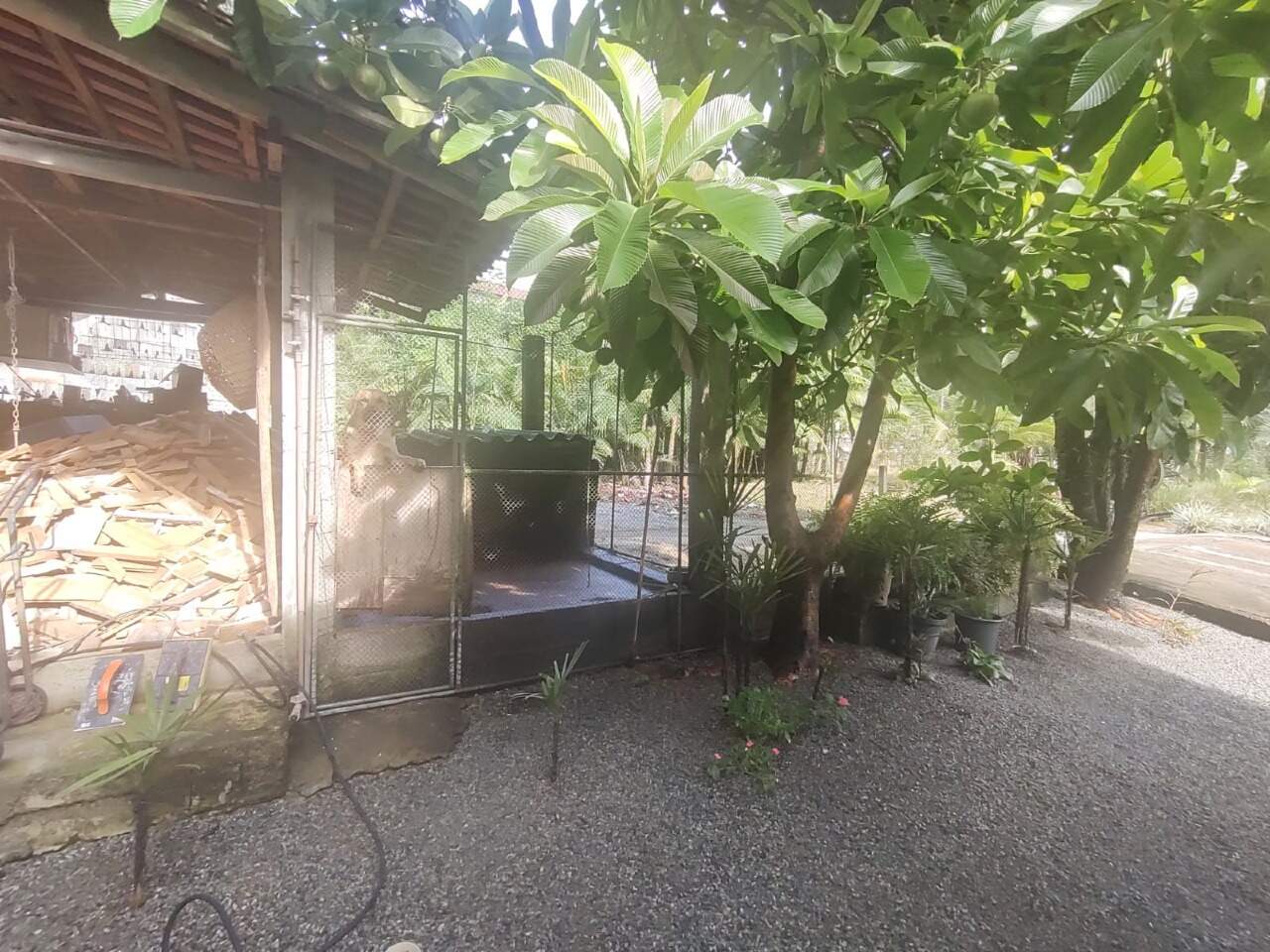 Imagem Casa à venda, 2 quartos, 1 suíte, 2 vagas, Ilha da Figueira - Jaraguá do Sul/SC