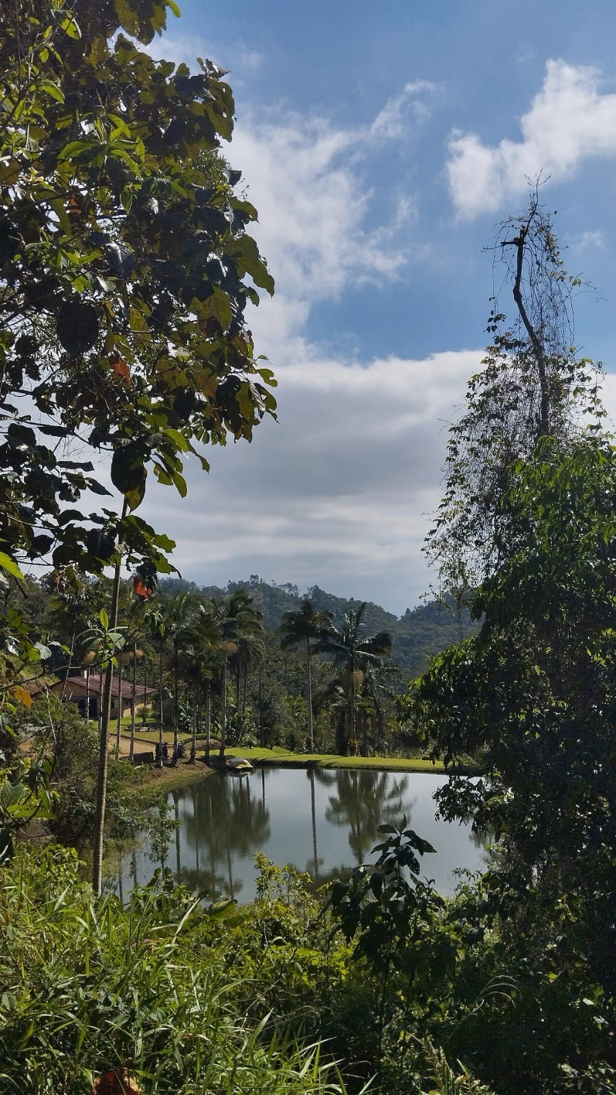 Imagem Chácara / Sítio em localização privilegiada no bairro Barra do Rio Cerro em Jaraguá do Sul