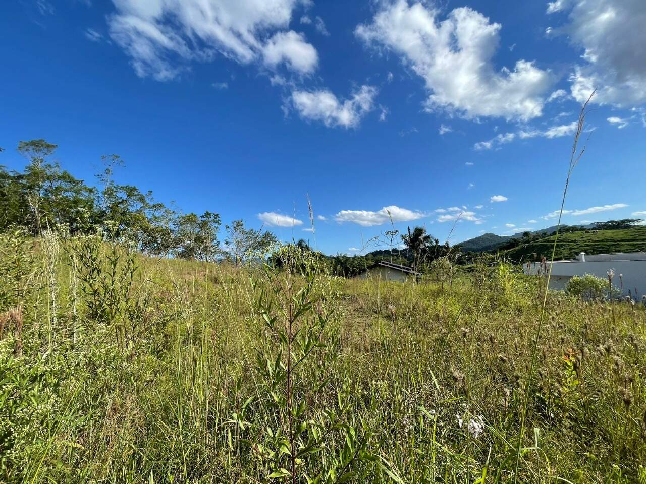 Imagem Terreno / Lote à venda, Três Rios do Norte - Jaraguá do Sul/SC