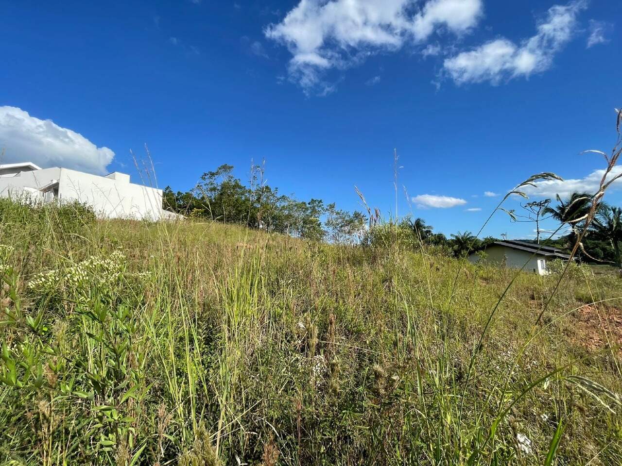 Imagem Terreno / Lote à venda, Três Rios do Norte - Jaraguá do Sul/SC