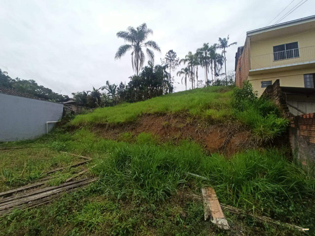 Imagem Terreno / Lote à venda, Jaraguá Esquerdo - Jaraguá do Sul/SC