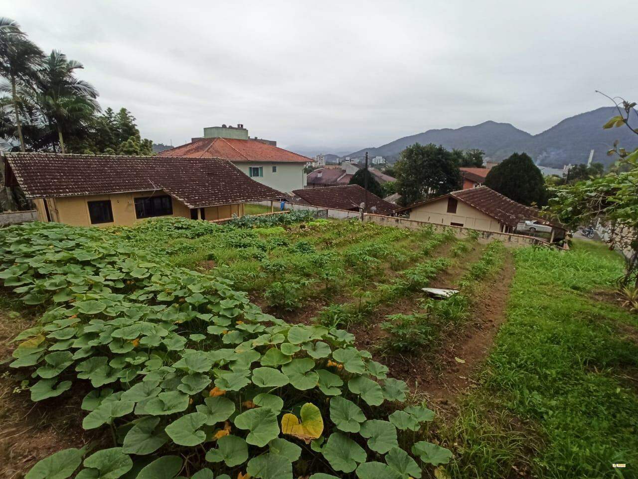 Imagem Terreno à venda no Bairro Ilha da Figueira em Jaraguá do Sul com 1.120,50 m²