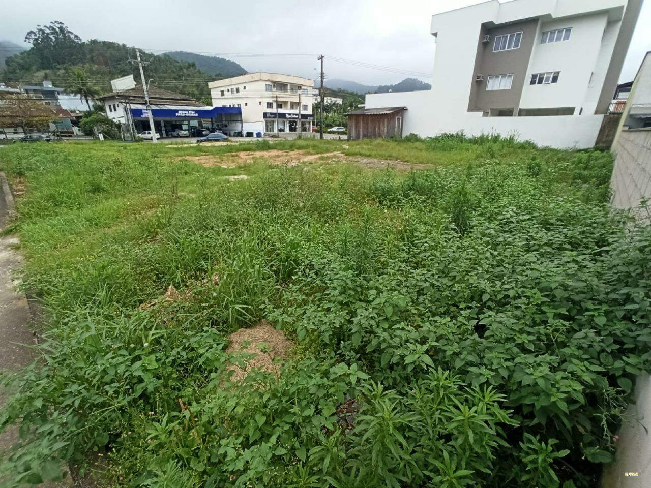 Imagem Terreno / Lote à venda, Ilha da Figueira - Jaraguá do Sul/SC