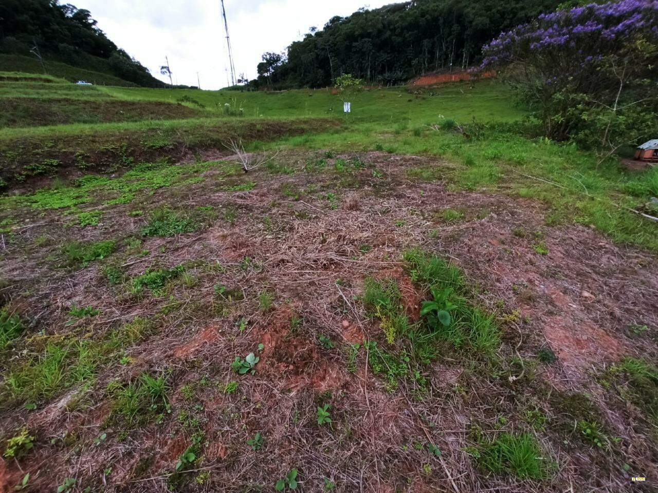 Imagem Terreno / Lote à venda, Santo Antônio - Jaraguá do Sul/SC