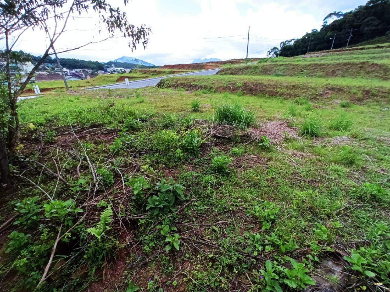 Imagem Terreno / Lote à venda, Santo Antônio - Jaraguá do Sul/SC