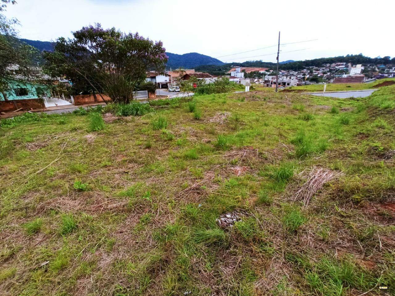 Imagem Terreno / Lote à venda, Santo Antônio - Jaraguá do Sul/SC