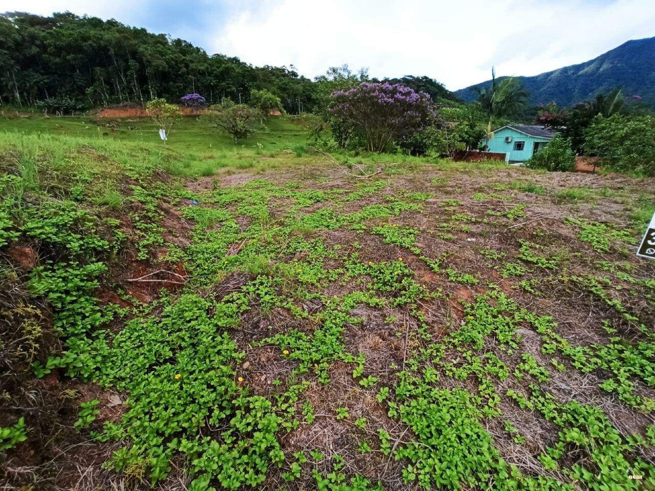 Imagem Terreno / Lote à venda, Santo Antônio - Jaraguá do Sul/SC