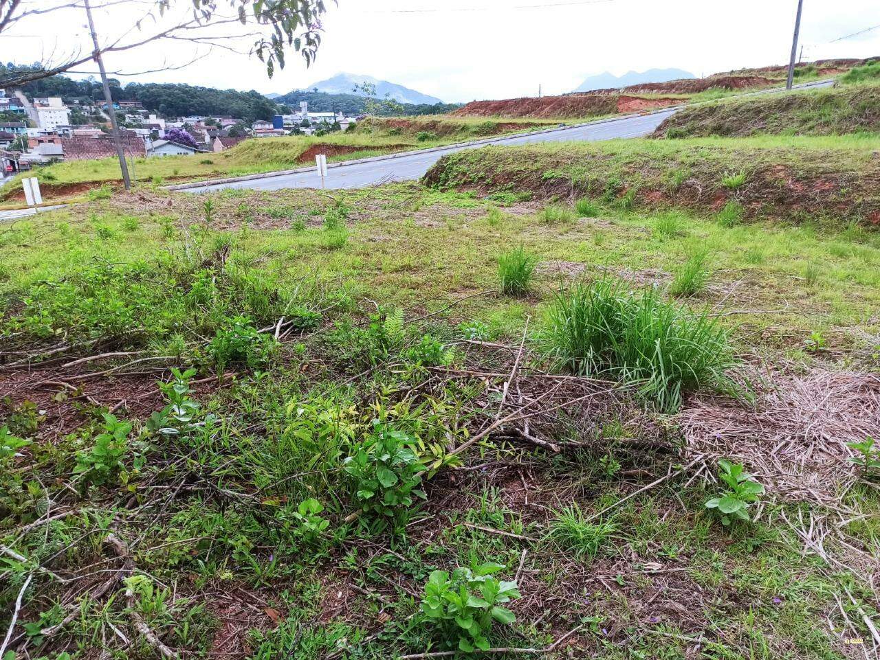 Imagem Terreno / Lote à venda, Santo Antônio - Jaraguá do Sul/SC