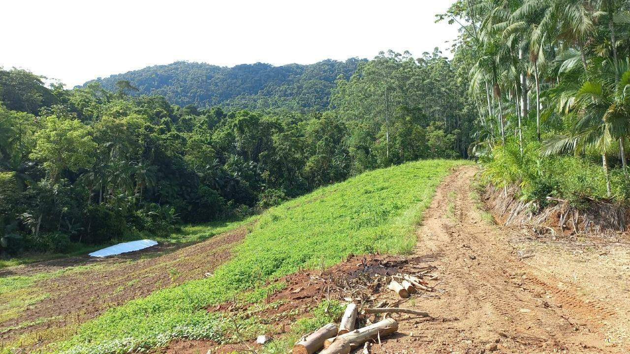 Imagem Chácara / Sítio à venda, Garibaldi - Jaraguá do Sul/SC