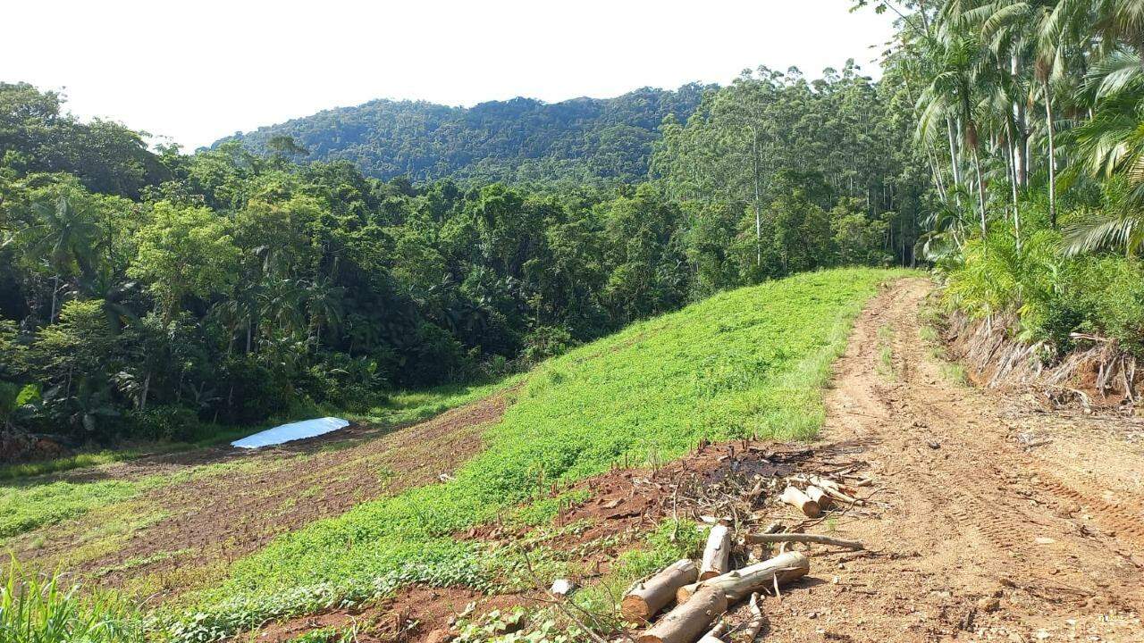 Imagem Chácara / Sítio à venda, Garibaldi - Jaraguá do Sul/SC