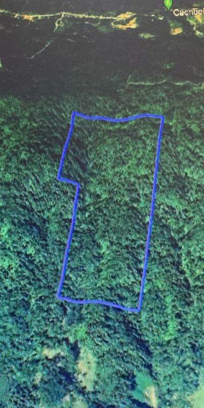 Chácara / Sítio à venda, Garibaldi - Jaraguá do Sul/SC