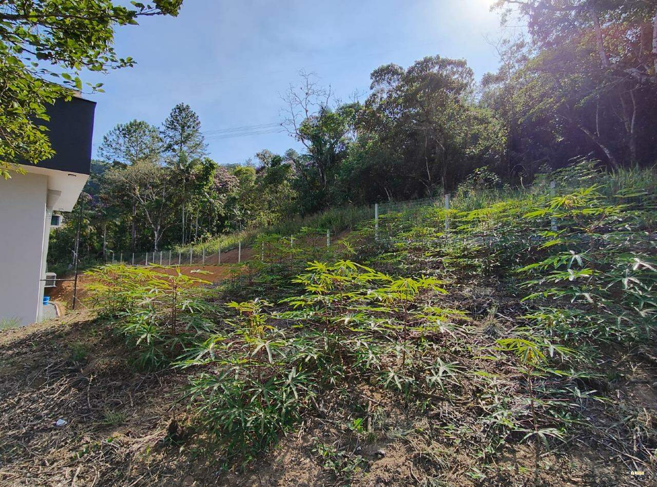 Imagem Sitio no bairro Nereu Ramos em Jaraguá do Sul