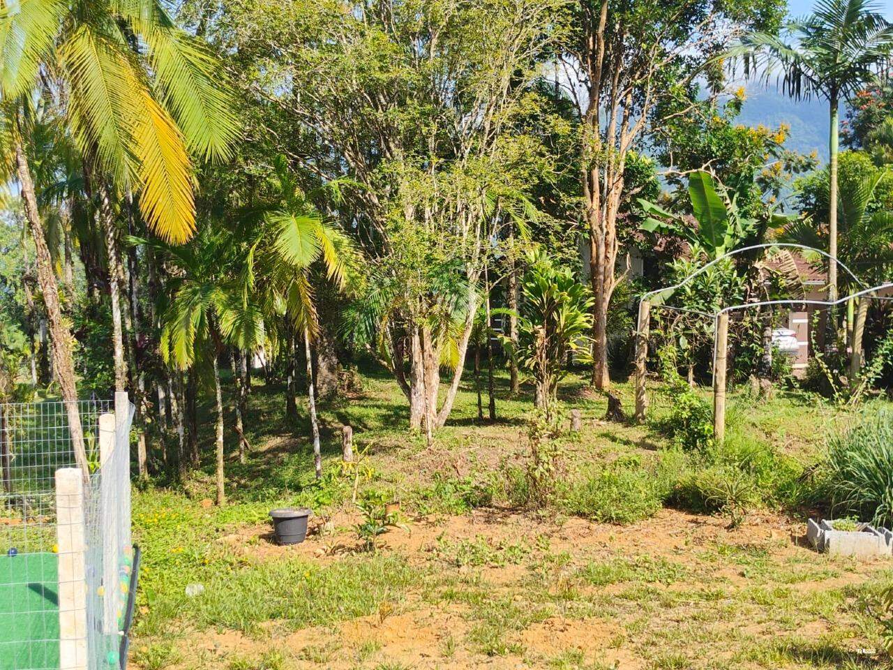 Imagem Sitio no bairro Nereu Ramos em Jaraguá do Sul