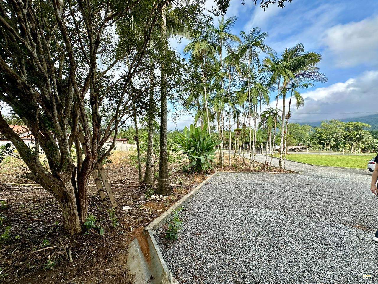 Imagem Sitio no bairro Nereu Ramos em Jaraguá do Sul