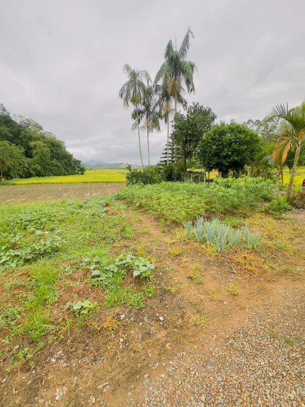 Imagem Chácara / Sítio à venda, 3 quartos, 2 vagas, RIBEIRAO SAO PAULO - Ascurra/SC