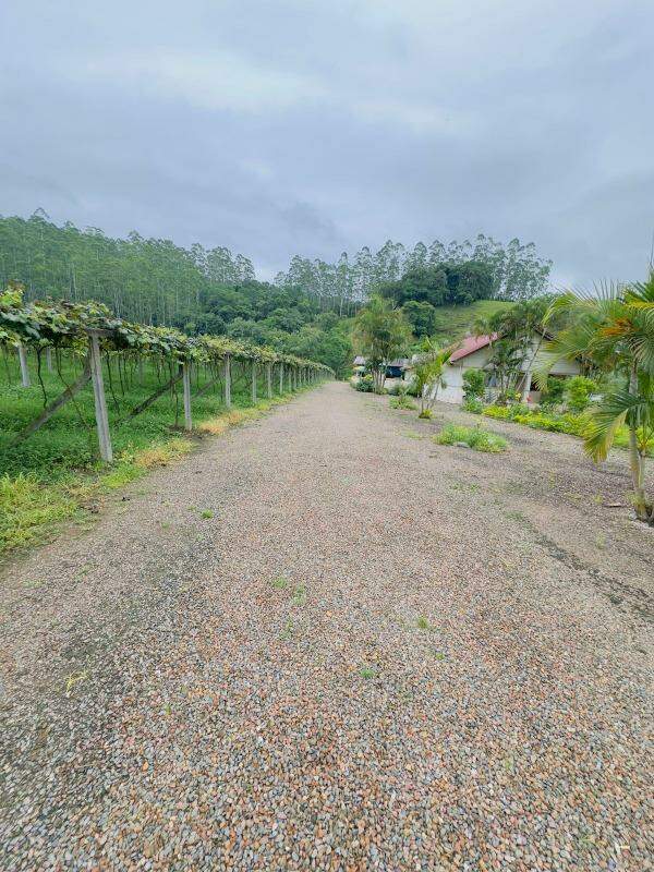 Imagem Chácara / Sítio à venda, 3 quartos, 2 vagas, RIBEIRAO SAO PAULO - Ascurra/SC