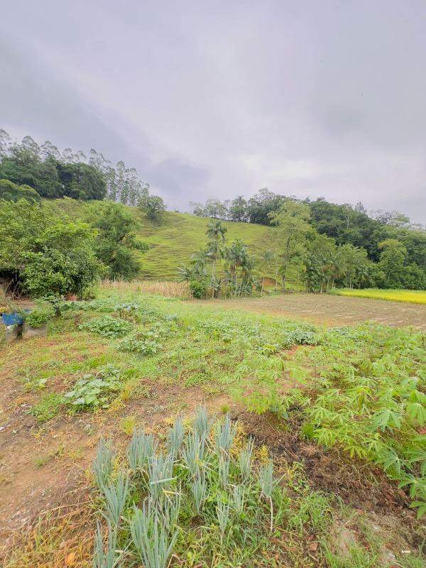 Imagem Chácara / Sítio à venda, 3 quartos, 2 vagas, RIBEIRAO SAO PAULO - Ascurra/SC