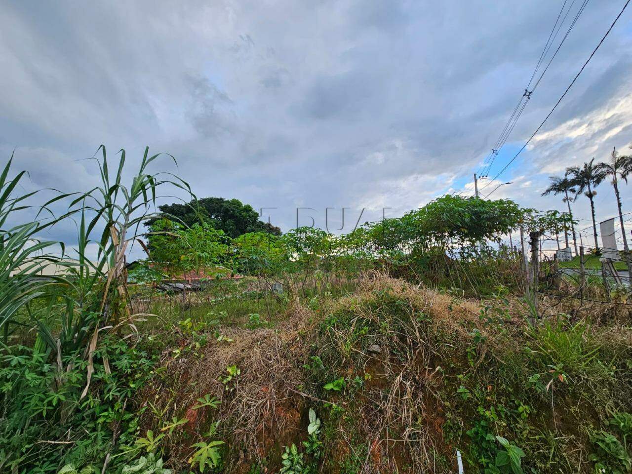 Imagem  Terreno de esquina com quase 600 m² no bairro Rau em Jaraguá do Sul