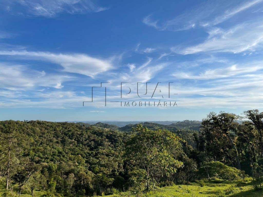 Imagem Terreno a venda no bairro Rio Vermelho na divida entre Corupá e Campo Alegre