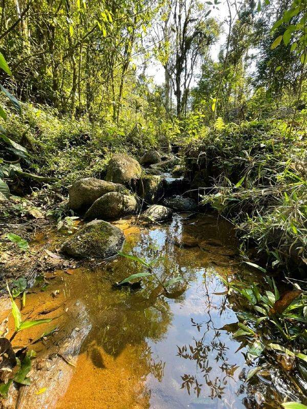 Imagem Terreno a venda no bairro Rio Vermelho na divida entre Corupá e Campo Alegre