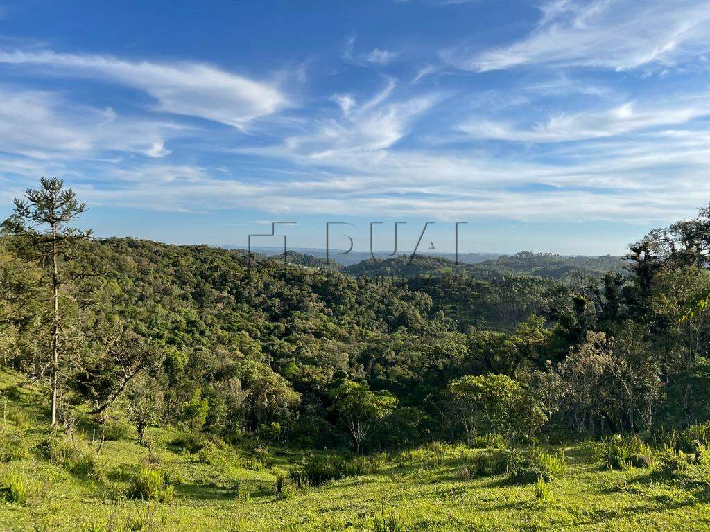 Imagem Terreno a venda no bairro Rio Vermelho na divida entre Corupá e Campo Alegre