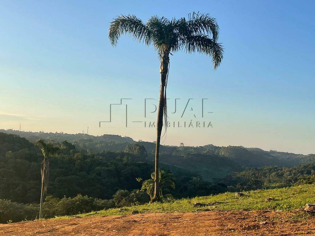 Imagem Terreno a venda no bairro Rio Vermelho na divida entre Corupá e Campo Alegre