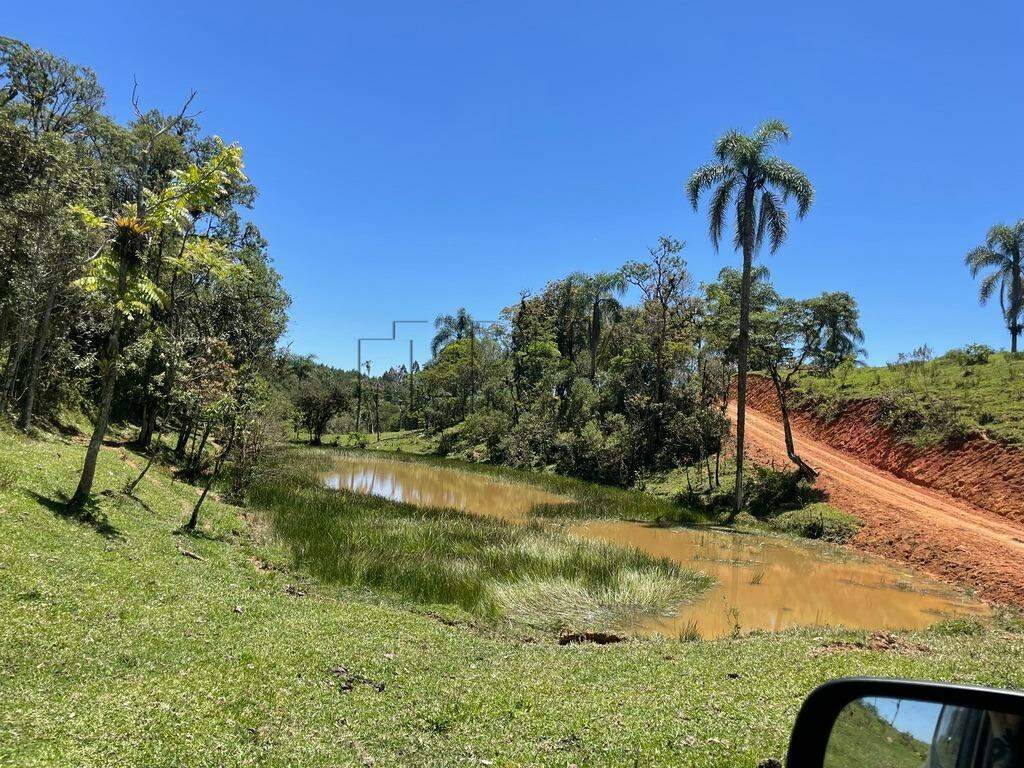 Imagem Terreno a venda no bairro Rio Vermelho na divida entre Corupá e Campo Alegre