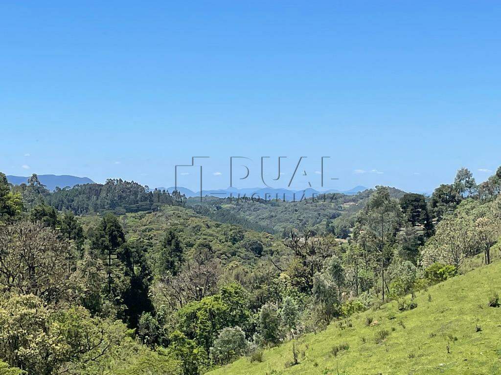 Imagem Terreno a venda no bairro Rio Vermelho na divida entre Corupá e Campo Alegre
