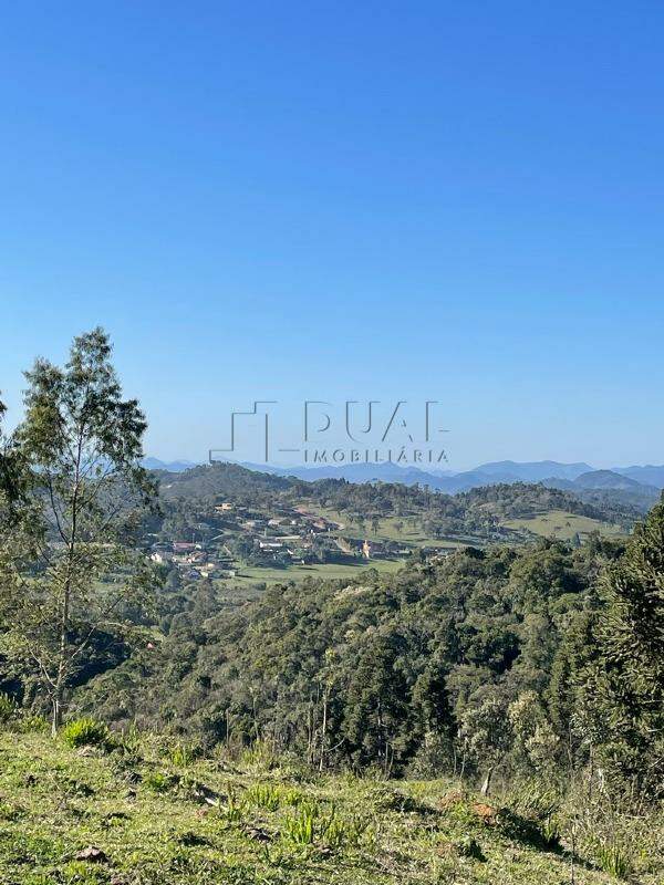Imagem Terreno a venda no bairro Rio Vermelho na divida entre Corupá e Campo Alegre