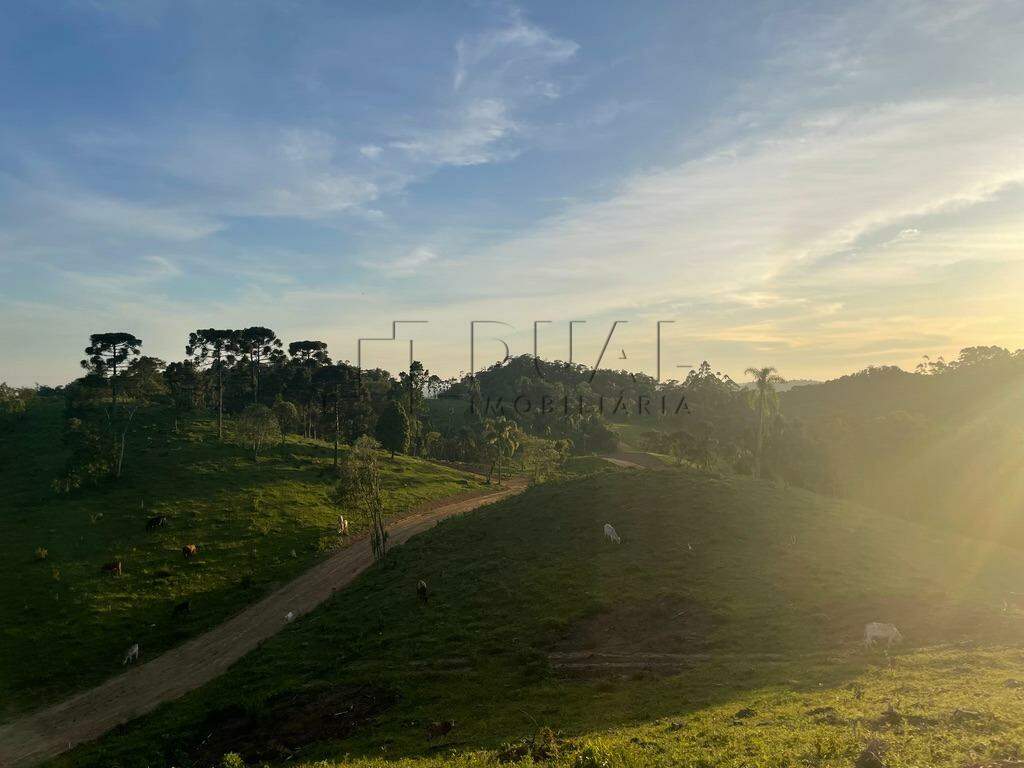 Imagem Terreno a venda no bairro Rio Vermelho na divida entre Corupá e Campo Alegre