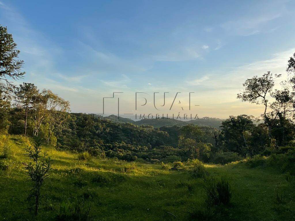 Imagem Terreno a venda no bairro Rio Vermelho na divida entre Corupá e Campo Alegre