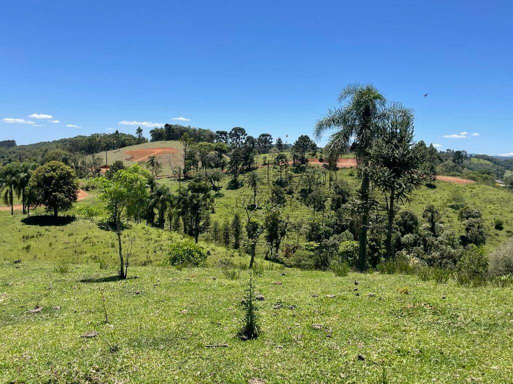 Imagem Terreno a venda no bairro Rio Vermelho na divida entre Corupá e Campo Alegre