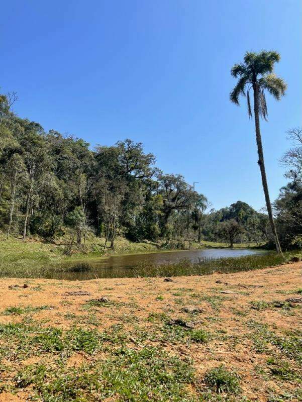 Terreno a venda no bairro Rio Vermelho na divida entre Corupá e Campo Alegre