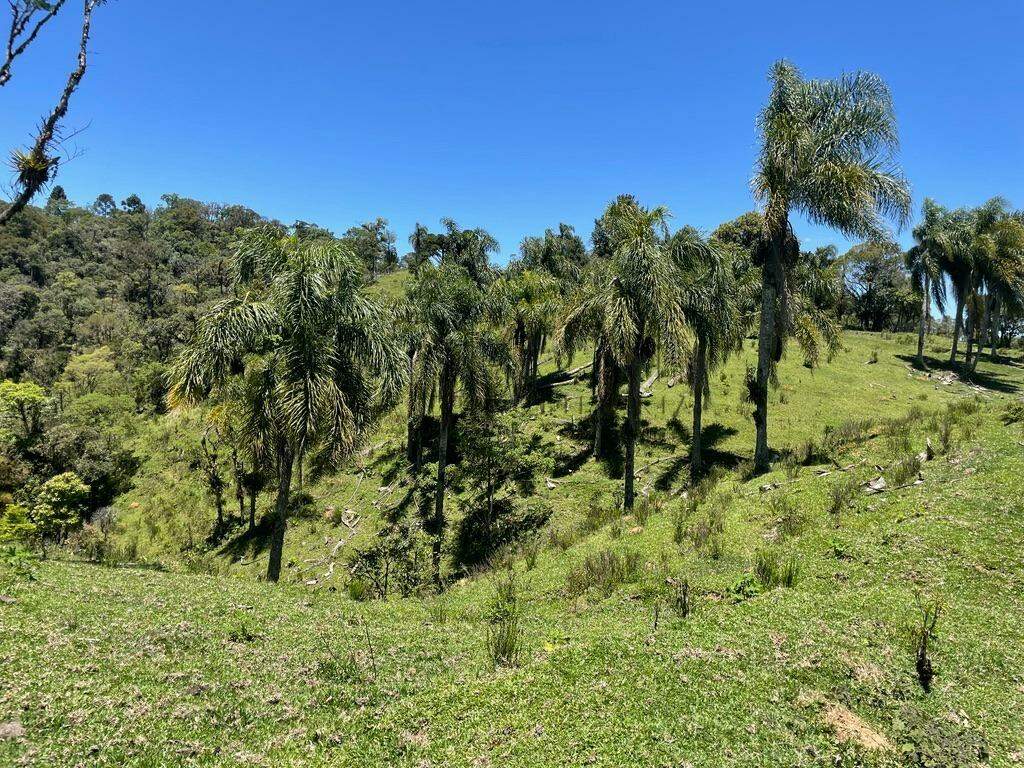 Imagem Terreno a venda no bairro Rio Vermelho na divida entre Corupá e Campo Alegre
