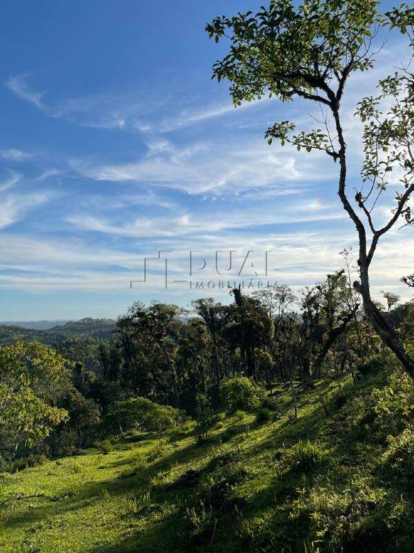 Imagem Terreno a venda no bairro Rio Vermelho na divida entre Corupá e Campo Alegre